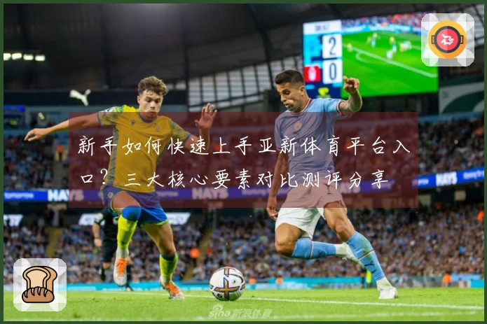 新手如何快速上手亚新体育平台入口？三大核心要素对比测评分享