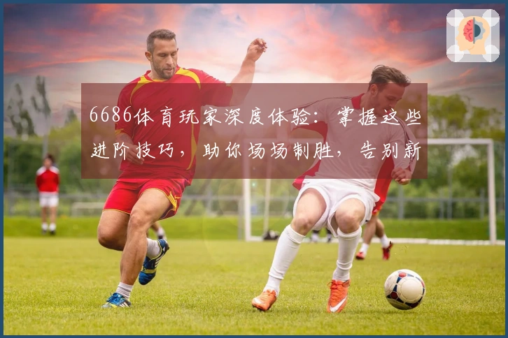 6686体育玩家深度体验：掌握这些进阶技巧，助你场场制胜，告别新手迷茫