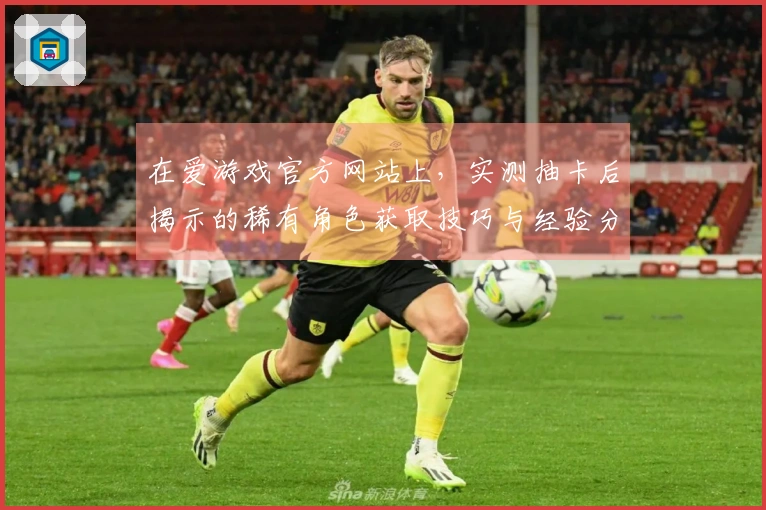 在爱游戏官方网站上，实测抽卡后揭示的稀有角色获取技巧与经验分享