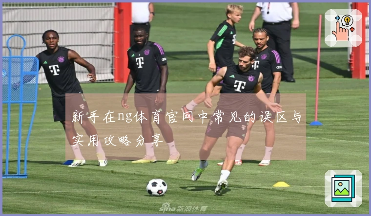 新手在ng体育官网中常见的误区与实用攻略分享