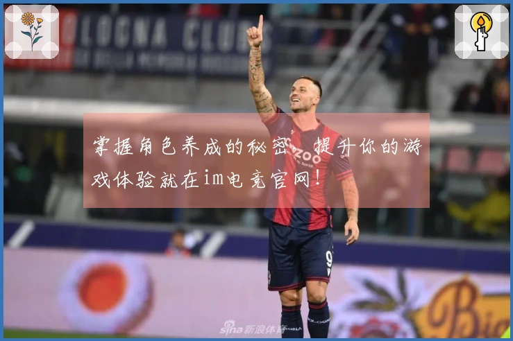 掌握角色养成的秘密，提升你的游戏体验就在im电竞官网！